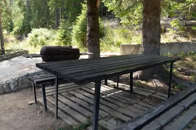 a picnic table with a grill sitting next to a tree at Borche Family Homes in Pamporovo