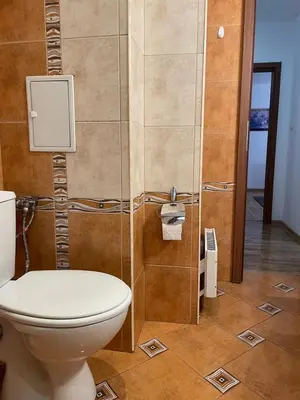 a bathroom with a toilet and a glass door at Vessy’s apartment in Smolyan