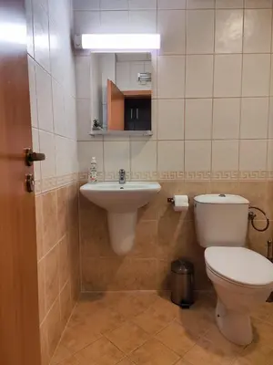 a bathroom with a toilet and a sink at Panorama Stoykite Eurydice in Stoykite