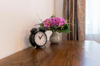 a clock and a vase with flowers on a table at City Center Retro Chic Kapana 2-Bed Apartment in Plovdiv