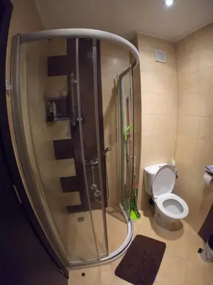 a bathroom with a shower with a toilet at Apartment Atanasov - Pamporovo in Pamporovo