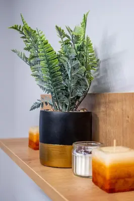 a plant in a black pot on a shelf with candles at Cozy Homes 4 in Sofia