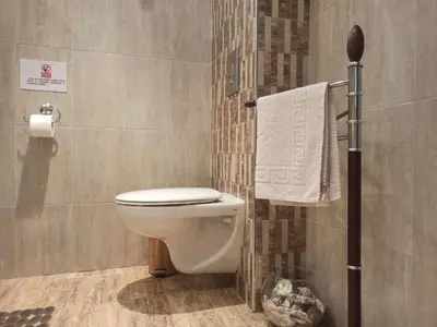 a bathroom with a toilet and a towel rack at Apartment Maddie in Teteven