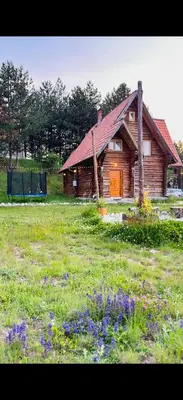 a wooden house in a field with purple flowers at Lambievi Kolibi in Gorno Kraishte