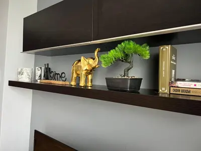 a shelf with a gold elephant and a plant on it at Brand NEW! 2BDR Lux Apartment RAYKO in Sofia