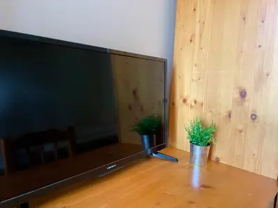 a large flat screen tv sitting on a wooden table with two plants at Bungalows of Yug in Kyustendil
