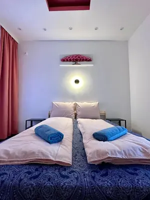 a large bed with two pillows on top of it at The rainbow 9 in Sofia