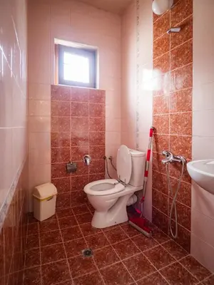 a bathroom with a toilet and a sink at Стаи за гости Божана in Razlog