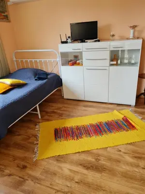 a bedroom with a bed and a tv and a rug at Cozy studio with balcony in Sofia