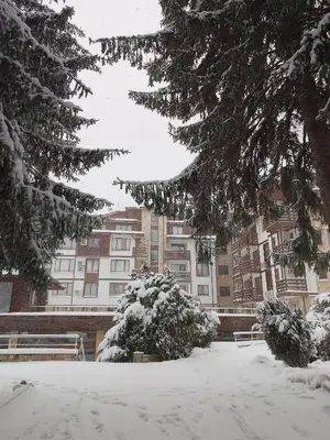 a snow covered park with trees and buildings at Роси Студио Банско in Bansko