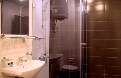 a bathroom with a shower with a sink and a toilet at GT Aspen House Apartments in Bansko