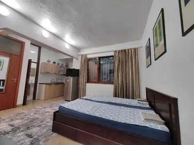 a bedroom with a bed and a kitchen at Graf Ignatiev 27 in Sofia