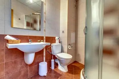 a bathroom with a sink and a toilet and a mirror at MyPlace Pamporovo 2 in Pamporovo