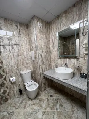 a bathroom with a toilet and a sink at GREEN PARK Apartments and rooms for guests in Asenovgrad