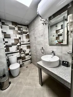 a bathroom with a white sink and a toilet at GREEN PARK Apartments and rooms for guests in Asenovgrad