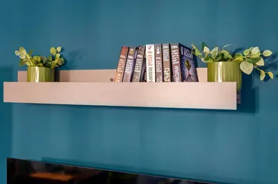 a shelf with books and two potted plants on it at Mursala Pamporovo in Pamporovo
