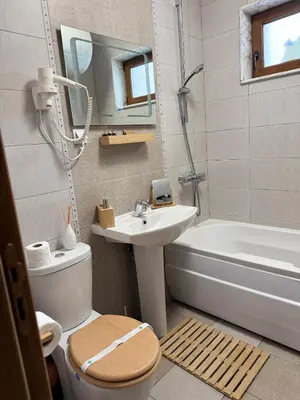 a bathroom with a sink and a toilet and a tub at Boris’s Guest Apartment in Chepelare