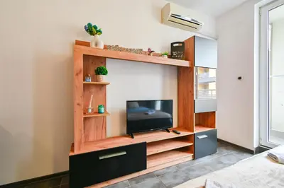 a living room with a tv in a wooden entertainment center at Studio 19 in Sofia