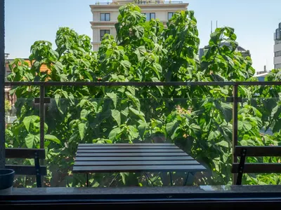 a bench in front of a large plant at Vertigo 2 Modern 2-Bedroom Apartment with Parking & Vitosha View in Sofia