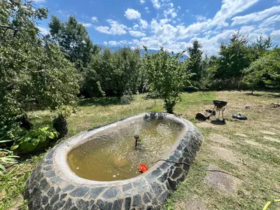 a pool of water with a bird in it in a yard at Cozy Quiet Retreat 70km from Sofia in Kyustendil