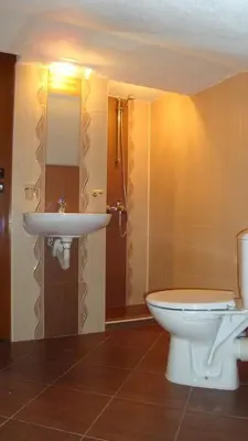 a bathroom with a toilet and a sink at Дамянова Къща in Dobrinishte