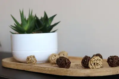 a wooden tray with a plant in a white pot at NEW The Blue Heart Of Sofia Center in Sofia