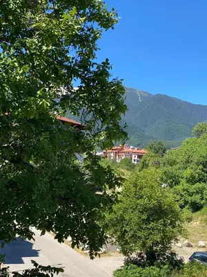 a view of a house from behind some trees at Hill Top Studio Apartments in Bansko