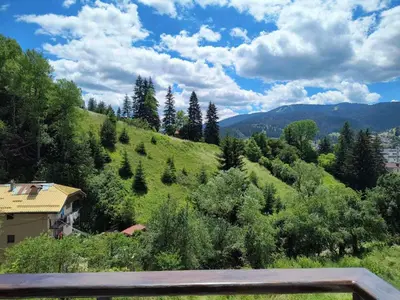 a view of a hill with trees and a house at Апартамент за гости Александър in Chepelare