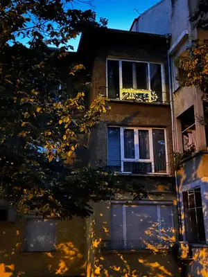 an apartment building with windows and a tree at Cute and Cozy Flat in Sofia