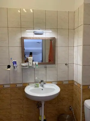 a bathroom with a sink and a mirror and a toilet at Mountain View in Razlog