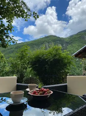a bowl of fruit on a table with a view of mountains at Beautiful Villa in the Rodopi Mountains in Narechen