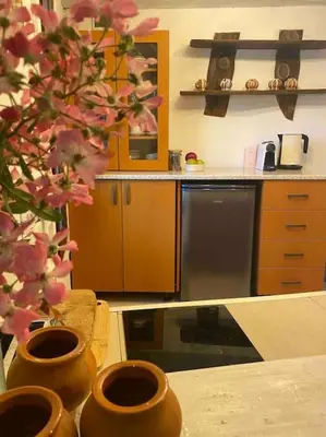 a kitchen with two vases sitting on a table at Beautiful Villa in the Rodopi Mountains in Narechen