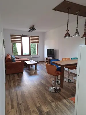 a living room with a couch and a table at Apartment Pirin in Bansko