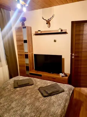 a bedroom with a bed with a television and a shelf at Villa Capricorn in Tsigov Chark