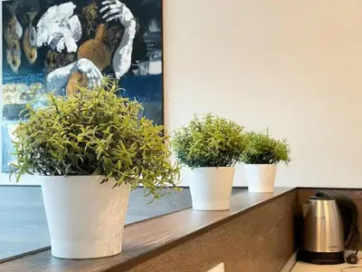 three potted plants sitting on top of a counter at High Rise Studio by Cosher in Sofia