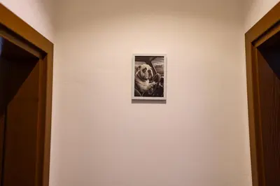 a picture of a dog on a wall at 3BDR, Top Center Retreat, Sofia Heart, FREE Parking in Sofia
