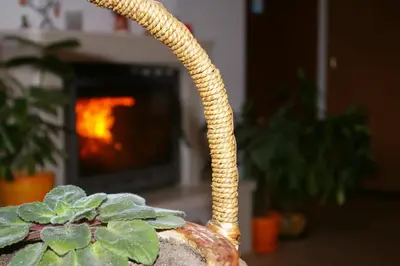 a snake growing out of a vase with a plant at Nevena Apartments in Bansko