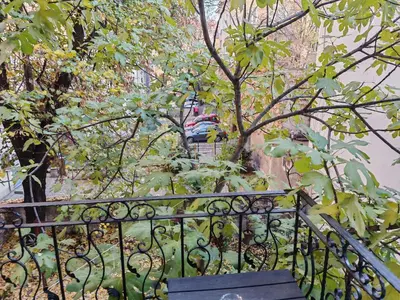 a black iron railing with trees and a car at Apartament 87 in Sofia