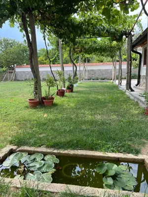 a garden with a pond with lilies in a yard at Къща за гости Бадови in Hisarya