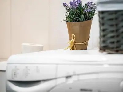 a potted plant sitting on top of a microwave at Modern design 1 bdrm, 4 guests, Top cente, Near Parliament, Self check-in in Sofia