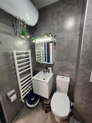 a bathroom with a toilet and a sink and a mirror at V&S Home in Plovdiv