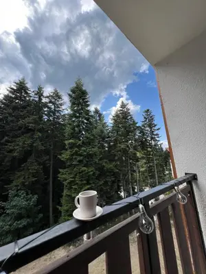 a coffee cup sitting on a balcony with trees at Borovets Gardens Apartment B15 in Borovets