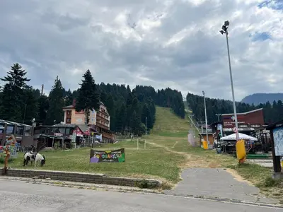 a horse grazing in a field next to a street at Borovets Gardens Apartment B15 in Borovets