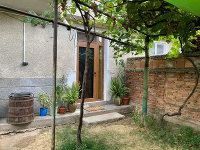 a house with potted plants in front of a door at Garden apartment in Karlovo