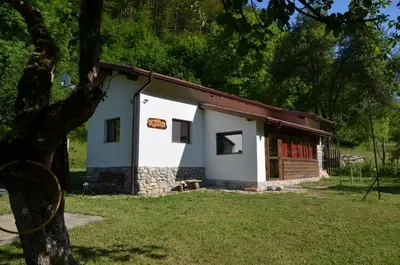 a small white building with a tree in the foreground at Вила Идилия in Ribarica