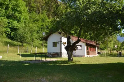 a house with a tree in front of it at Вила Идилия in Ribarica