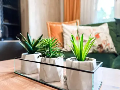 three plants sitting on a glass tray on a table at Compact Studio for Digital Nomads, Fast WiFi, AC in Sofia
