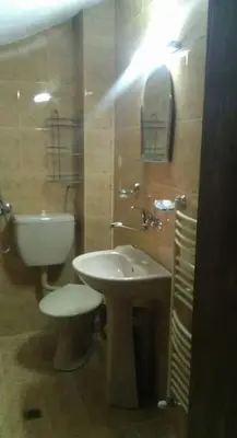 a bathroom with a white toilet and a sink at Matsureva House - Pri Ivan in Bansko