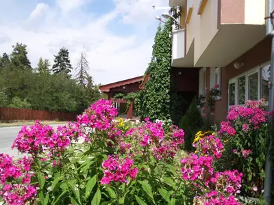 a bunch of pink flowers in front of a building at Zodiac House in Samokov