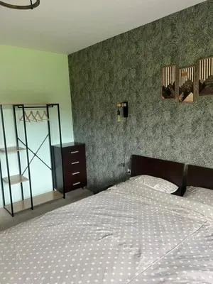 a bedroom with a bed and a dresser and a television at Forest View Apartment C34 Bansko in Bansko